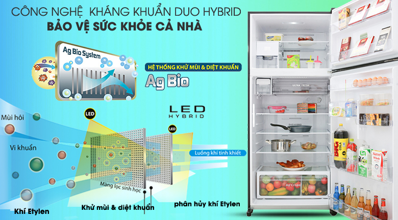 Tủ lạnh Toshiba Inverter 555 lít GR-AG58VA GG - Khử mùi, kháng khuẩn cao bởi công nghệ Duo Hybrid