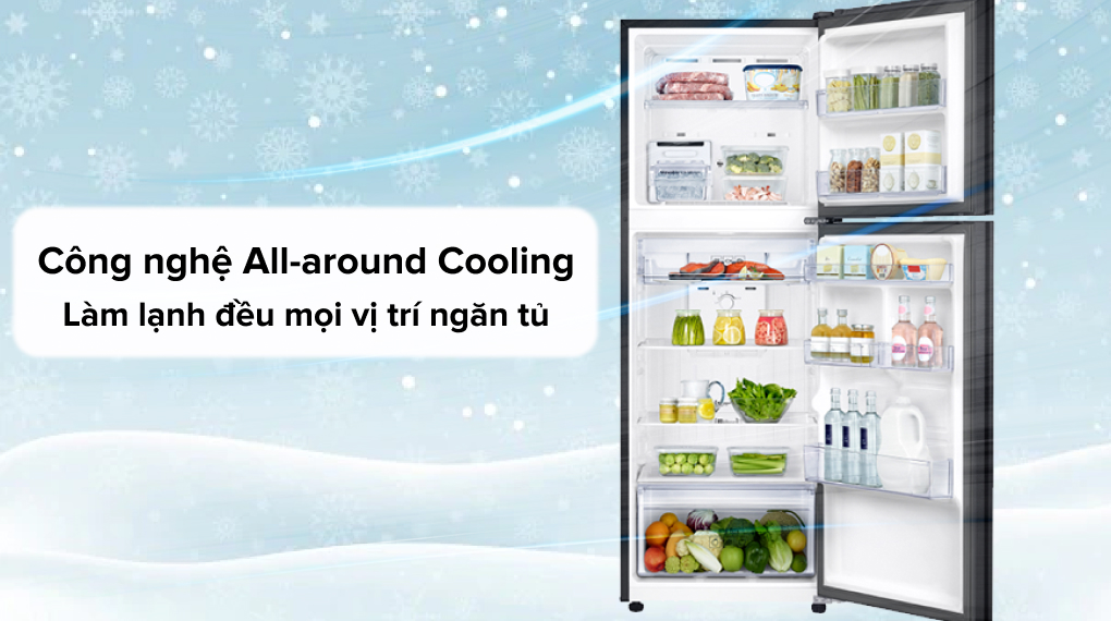 Tủ lạnh Samsung Inverter 302 Lít RT29K503JB1