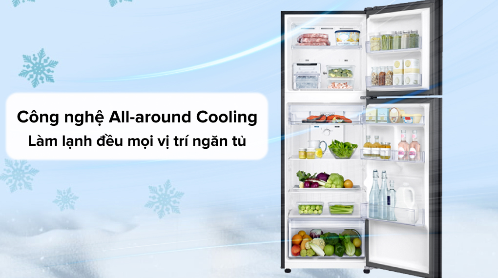 Tủ lạnh Samsung Inverter 322 Lít RT32K503JB1