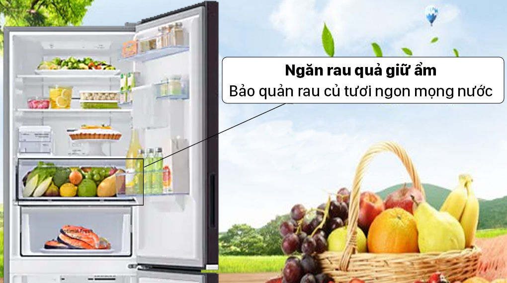 Tủ lạnh Samsung Inverter 307 lít RB30N4190BY